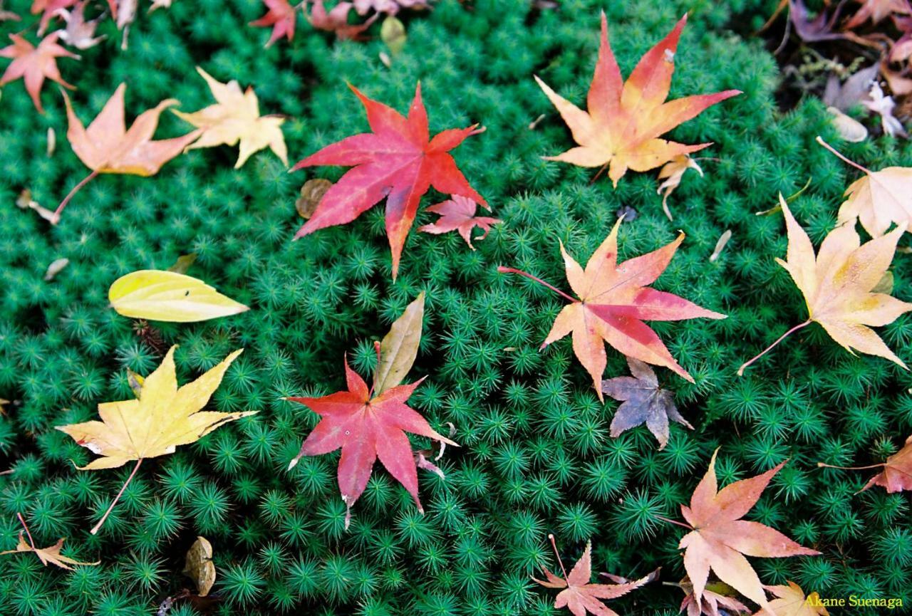 Kyoto Home Yoshida Exterior foto